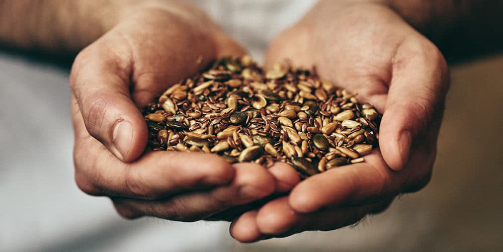 Gastro Fotos Bamberg